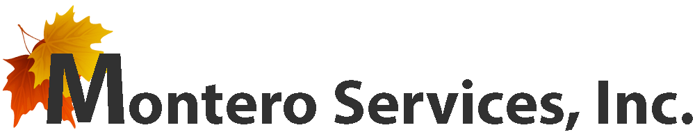 Montero Services Inc.
